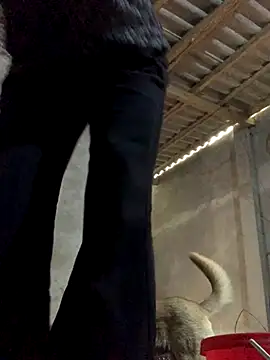 Halyy xx online show from 10-30-25, 04:55