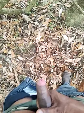 Snapshot of DICKLANKA chatting on 09-27-25, 06:30 DICKLANKA online show from 09-27-25, 06:30