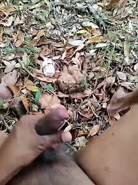 Snapshot of DICKLANKA chatting on 10-11-25, 07:20 DICKLANKA online show from 10-11-25, 07:20