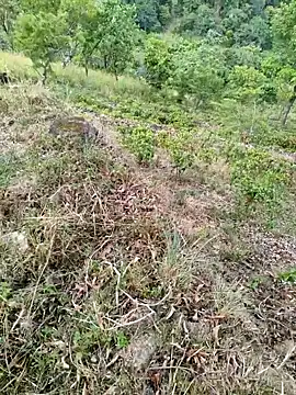 Snapshot of DICKLANKA chatting on 09-23-25, 08:32 DICKLANKA online show from 09-23-25, 08:32