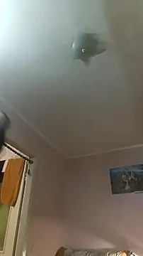 Snapshot of Adidas7217 chatting on 01-10-26, 02:51 Adidas7217 online show from 01-10-26, 02:51