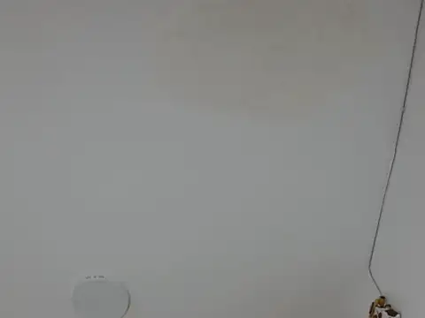 Snapshot of Alice_pussyhairy chatting on 10-02-25, 10:40 Alice pussyhairy online show from 10-02-25, 10:40