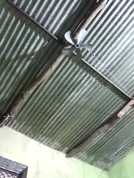 Haliya88 online show from 11-08-25, 11:08