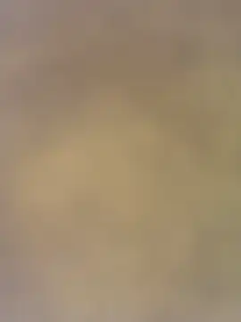 charlotteemerson123 online show from 11-29-25, 03:12