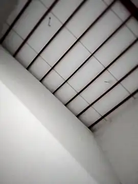 Yakpatiya7788 online show from 10-26-25, 05:57