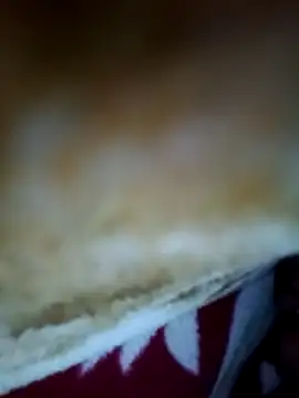 alone boy802 online show from 11-06-25, 04:22