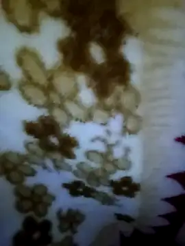 alone boy802 online show from 11-02-25, 08:19