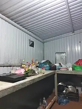 Helen-Tran online show from 11-28-25, 12:05