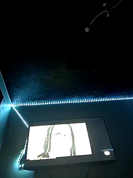 Painstickwes online show from 02-05-26, 09:54