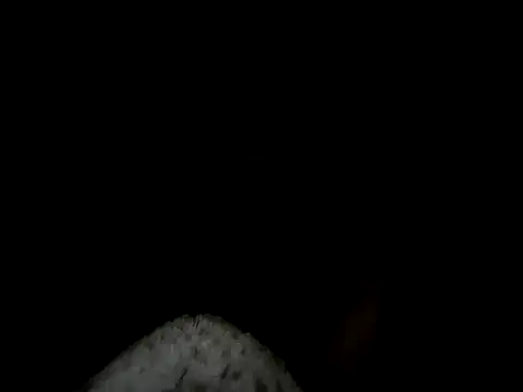 88heygirlhey88 online show from 10-22-25, 06:35