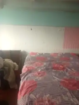 mylygrey online show from 03-11-26, 03:39