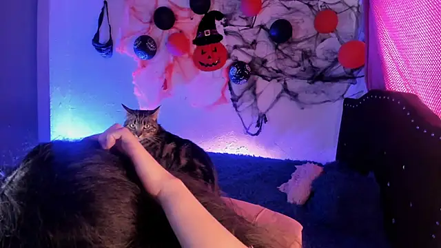 kitty  chs online show from 11-01-25, 05:29