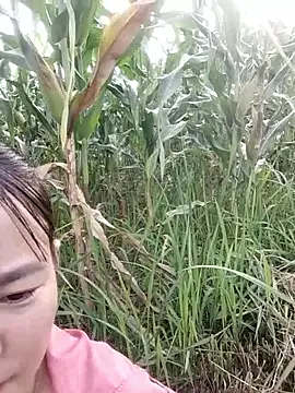 Meomeo-meo online show from 10-29-25, 01:04