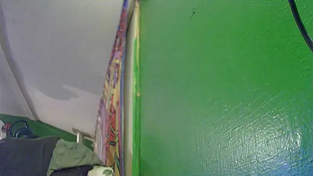 HippieDad333 online show from 11-11-25, 03:12