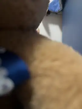 Italianofirenze online show from 10-05-25, 02:08