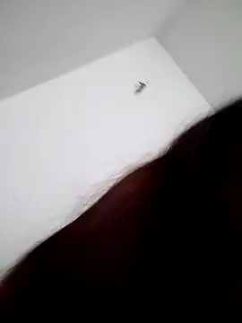 MamyRico online show from 10-11-25, 03:57