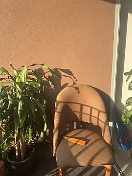 itsdanividarte online show from 11-11-25, 09:42