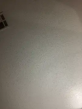 BuzzBunni69 online show from 10-26-25, 04:57