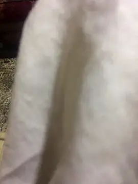 Yassesexy online show from 10-04-25, 12:23