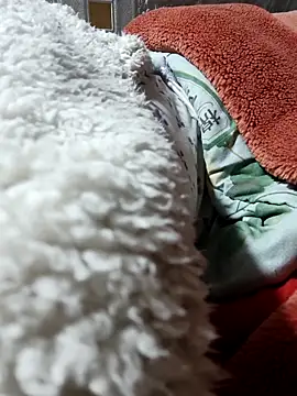 Paul-paul11 online show from 01-07-26, 09:53