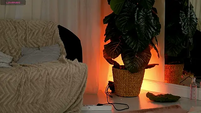 Snapshot of EvaAmanti chatting on 01-11-26, 04:41 EvaAmanti online show from 01-11-26, 04:41