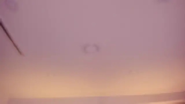 Violeta dh online show from 04-04-26, 11:17