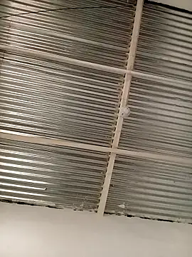 kingbickcockDn online show from 11-23-25, 05:34