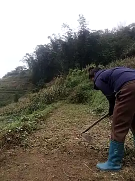 zhen-zo online show from 10-31-25, 02:19