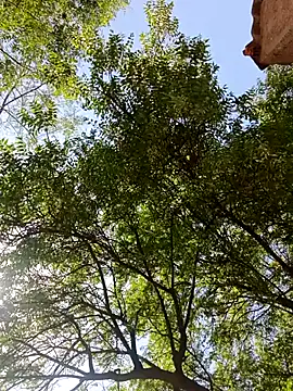 Rs sonam online show from 04-13-26, 09:13