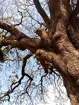 Rs sonam online show from 04-04-26, 10:55