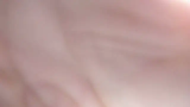 sackstor online show from 09-17-25, 06:54