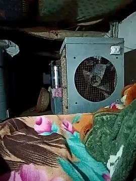 Snapshot of Lona2525 chatting on 02-16-26, 08:40 Lona2525 online show from 02-16-26, 08:40