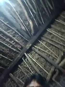 Lona2525 online show from 10-20-25, 07:36