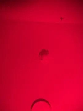 bellacagyal online show from 02-11-26, 10:48