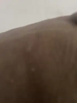 La piada online show from 10-29-25, 10:36