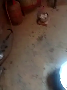 RED Queen 6 online show from 03-05-26, 05:15