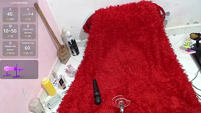 codorniz2025 online show from 11-01-25, 09:58