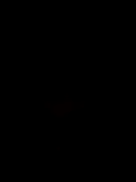 Snapshot of PloddedSlick chatting on 10-16-25, 11:13 PloddedSlick online show from 10-16-25, 11:13