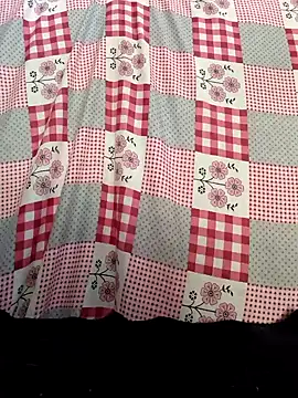 Snapshot of Your_seema_208 chatting on 10-05-25, 03:41 Your seema 208 online show from 10-05-25, 03:41