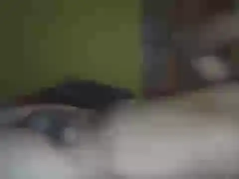 Hhhggghrrr3219 online show from 03-25-26, 07:35