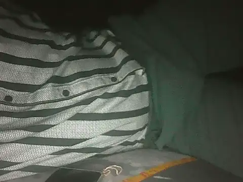 Hhhggghrrr3219 online show from 11-20-25, 06:19