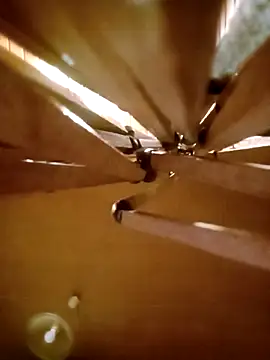 Apeesynka55211 online show from 12-20-25, 06:38