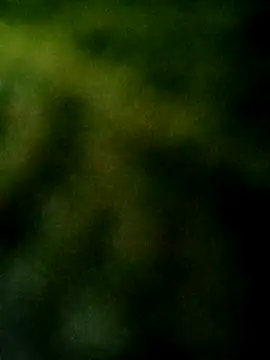Snapshot of Apeesynka55211 chatting on 10-04-25, 05:58 Apeesynka55211 online show from 10-04-25, 05:58