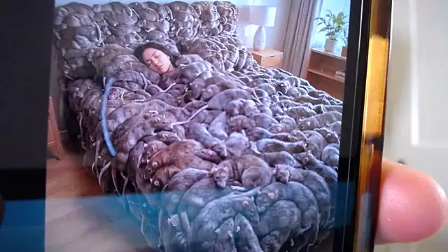 naughtyfox89 online show from 03-18-26, 03:31