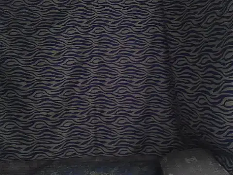 joy cute online show from 02-07-26, 11:46