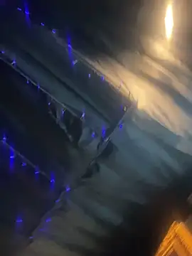 StarElexis online show from 03-17-26, 01:41