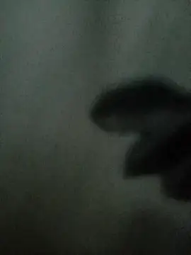 Snapshot of Mssbig chatting on 11-04-25, 11:36 Mssbig online show from 11-04-25, 11:36