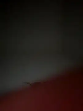 Snapshot of lekkerepik1111 chatting on 11-10-25, 05:23 lekkerepik1111 online show from 11-10-25, 05:23