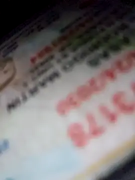 Roddog18 online show from 04-18-26, 08:20