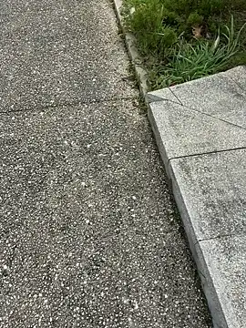 nanaisbackk online show from 02-16-26, 02:37